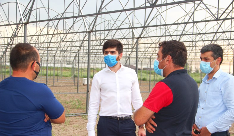 Էկոնոմիկայի փոխնախարարն Արմավիրում քննարկել է գյուղմթերքի արտահանման  խնդիրները