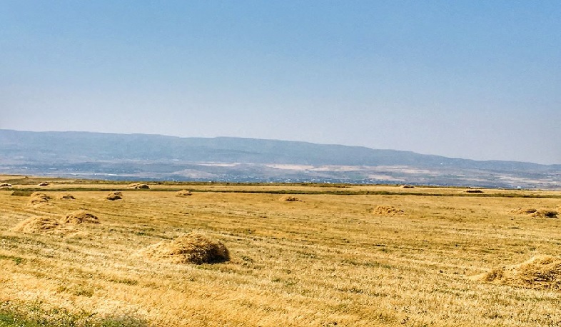 Կոտայքի մարզում մեկնարկել է գյուղատնտեսական տարվա ամենաթեժ շրջանը