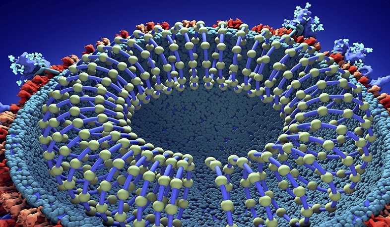 Կորոնավիրուսն աշխարհում