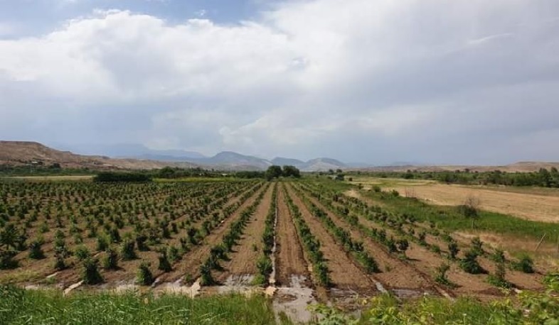 Քաշաթաղի շրջանում շարունակվում են «Թուֆենկյան» հիմնադրամի բարեգործական ծրագրերը