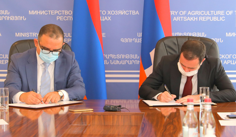 ՀՀ էկոնոմիկայի նախարարն Արցախում ստորագրել է գյուղաջակցության ծրագրերի ներդաշնակեցման վերաբերյալ հուշագիր