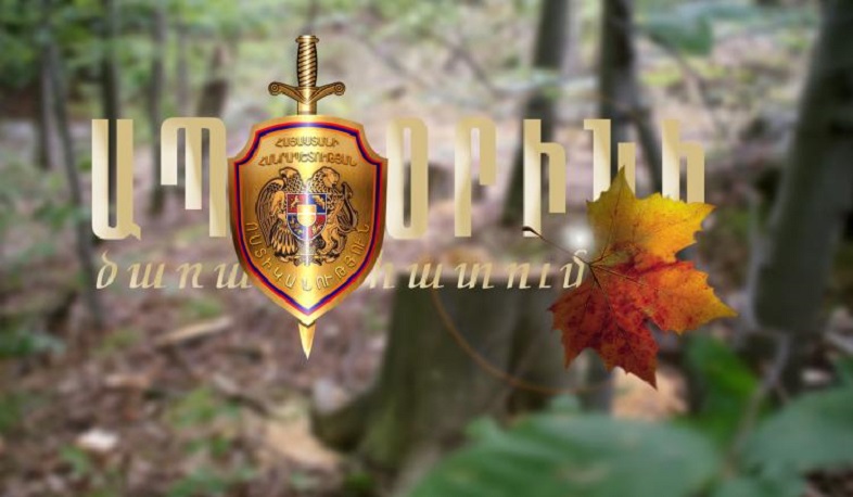 Իջևանի ոստիկանները ապօրինի ծառահատման դեպք են բացահայտել