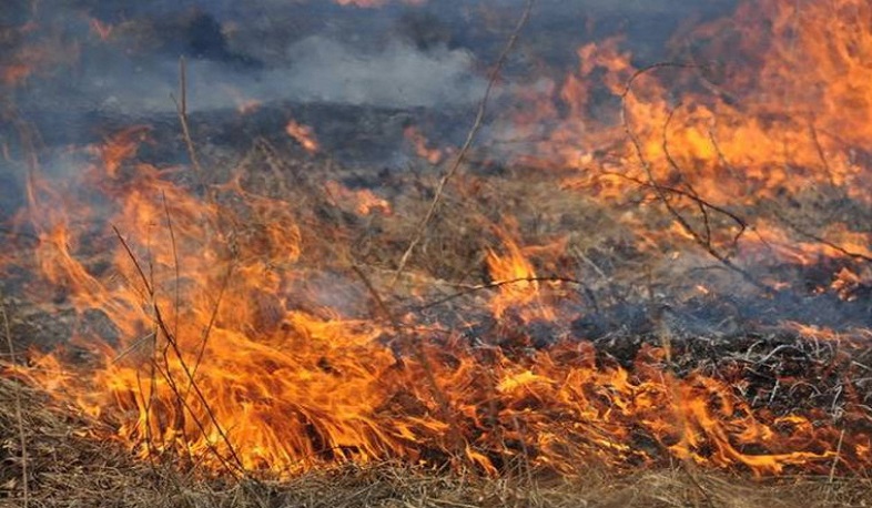 Կորեայի ձորում խոտածածկ տարածք է այրվում․ հայտարարվել է հրդեհի բարդության «1-ԲԻՍ» կանչ