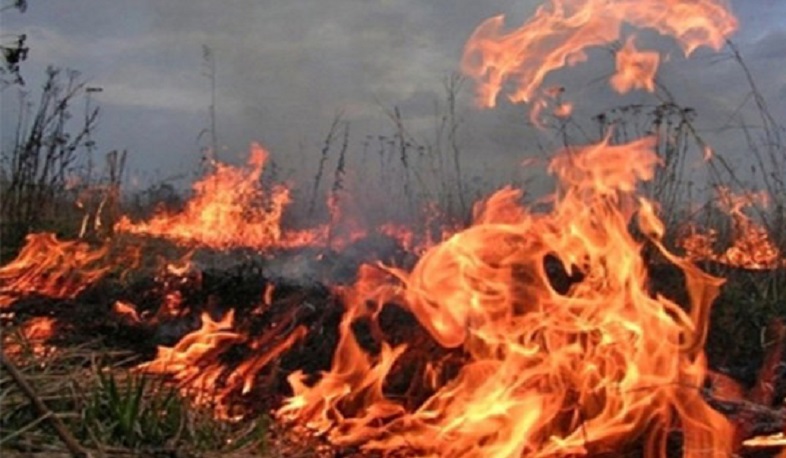 Կորեայի ձորում բռնկված հրդեհի հետևանքով այրվել է մոտ 1․5 հա խոտածածկ տարածք