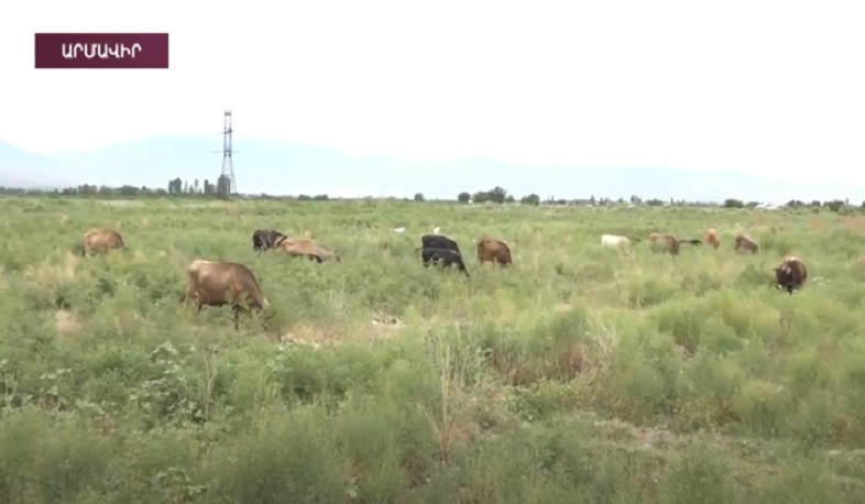 Գայ գյուղի բնակիչները 7 տարի հարկ են վճարում ուրիշ համայնքապետարանին