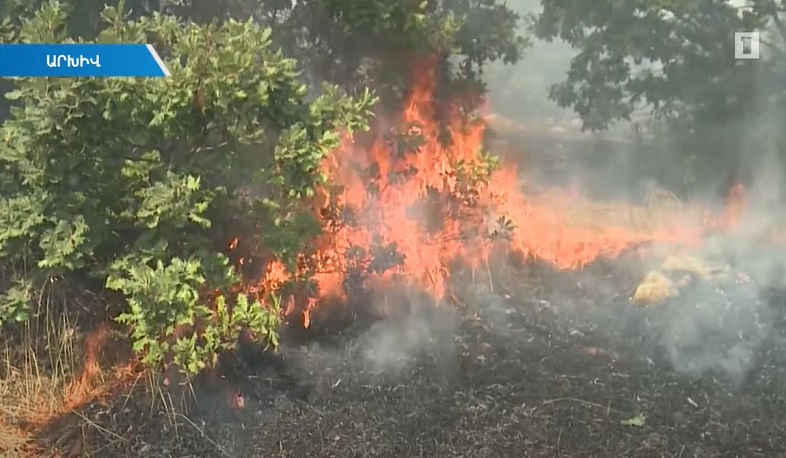 Հրդեհների թիվը նախորդ տարվա համեմատ նվազել է