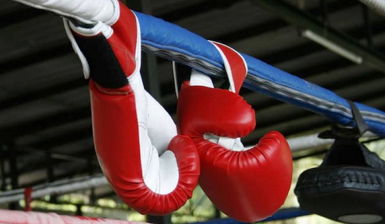 Բռնցքամարտի ֆեդերացիայի նախագահի ընտրությունները կհետաձգվեն