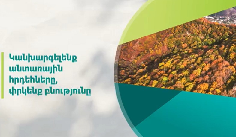 Կանխարգելենք անտառային հրդեհները. նախարարությունը հոլովակ է հրապարակել