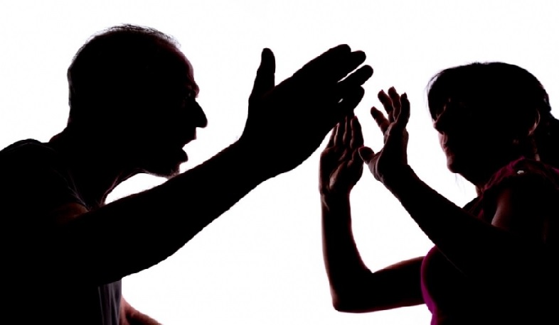 Ալավերդիում ընտանեկան բռնության դեպքի առիթով հարուցված քրգործի նախաքննություն ավարտվել է