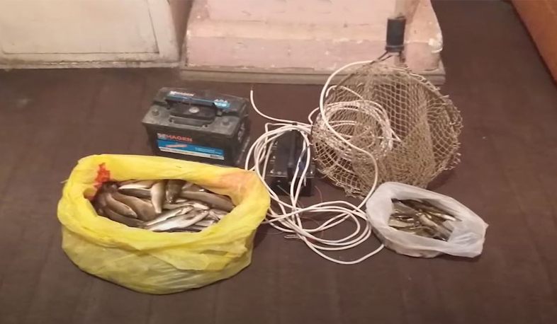 Նոր Հաճնի ոստիկանները որսագողության դեպք են բացահայտել