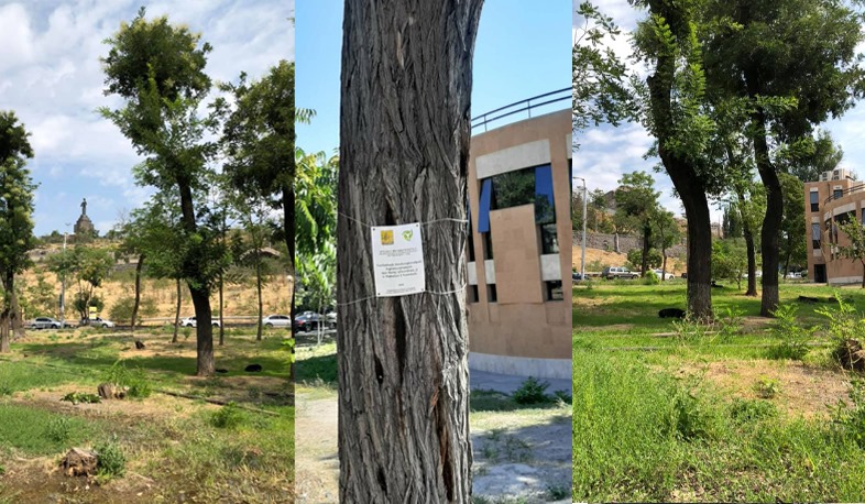 Բարեկարգվում է «Հրանտ Մաթևոսյան» կենտրոն-թանգարանի հարակից տարածքը