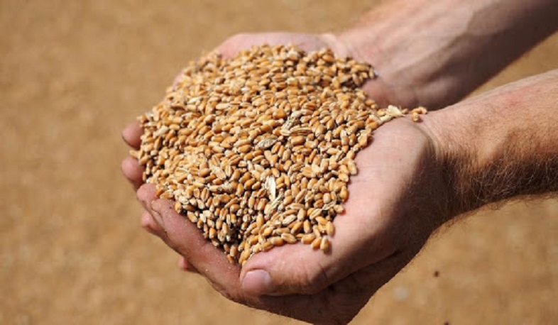 Սերմացու ցորենի յուրաքանչյուր կիլոգրամի համար 70 դրամը կվճարի Կառավարությունը. Խաչատրյան