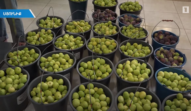 Մեղրու չոր միրգը պահանջված է նաև ԱՄՆ-ում