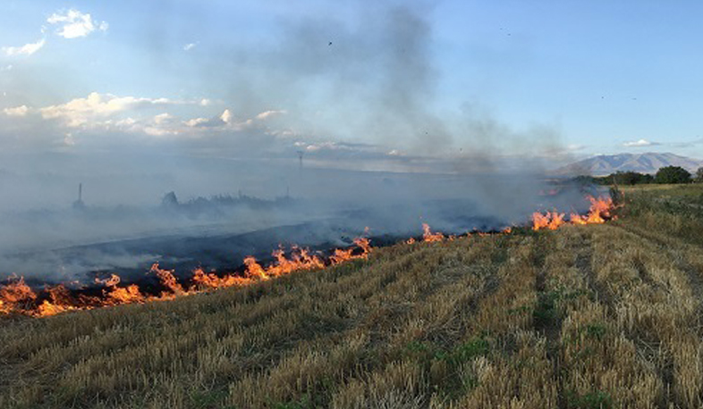 Մեկ օրում ստացվել է 12 ահազանգ՝ հանրապետության տարբեր տարածքներում բռնկված հրդեհների վերաբերյալ