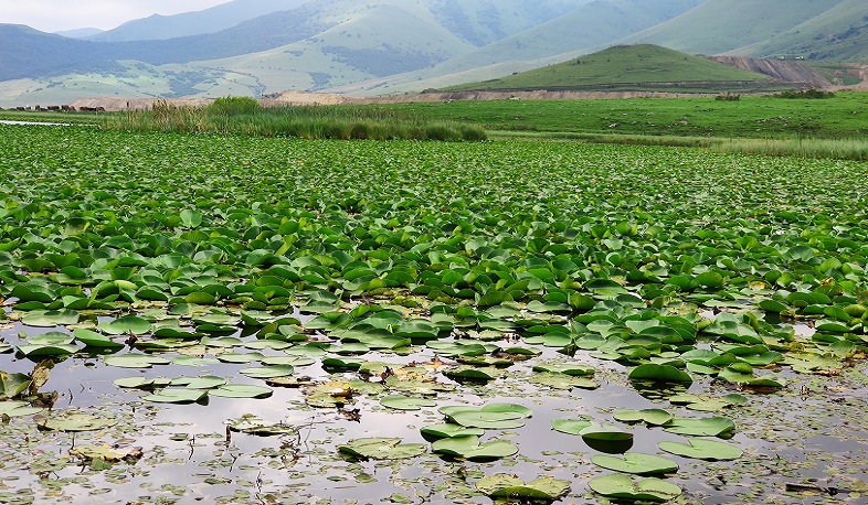 Խնդրում եմ առավելագույն հոգատարությամբ վերաբերվել Ջրաշուշանների լճին. Ռոմանոս Պետրոսյանի հորդորը