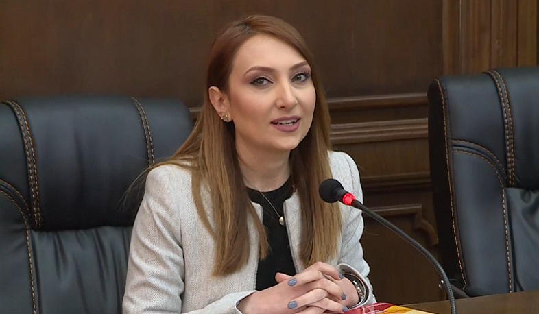 Շաթիրյանը հնարավոր թեկնածու է դիտարկվում, բայց կառավարության թեկնածուն չէ. Լիլիթ Մակունց