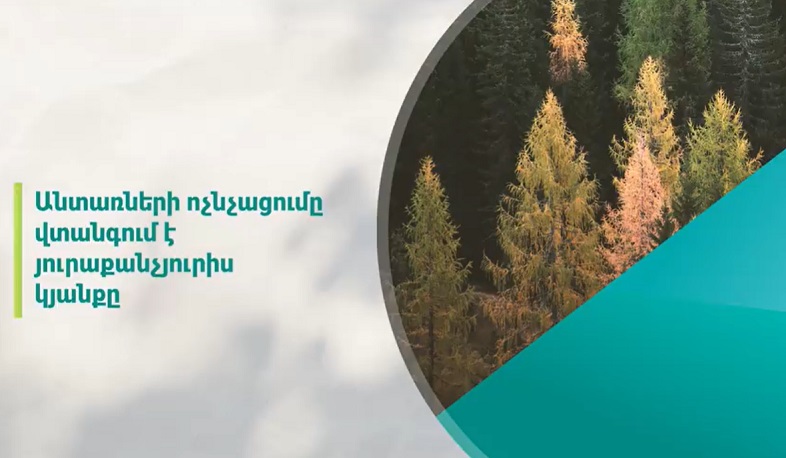 ՀՀ անտառածածկ տարածքը կազմում է երկրի ընդհանուր մակերեսի 11․1 տոկոսը