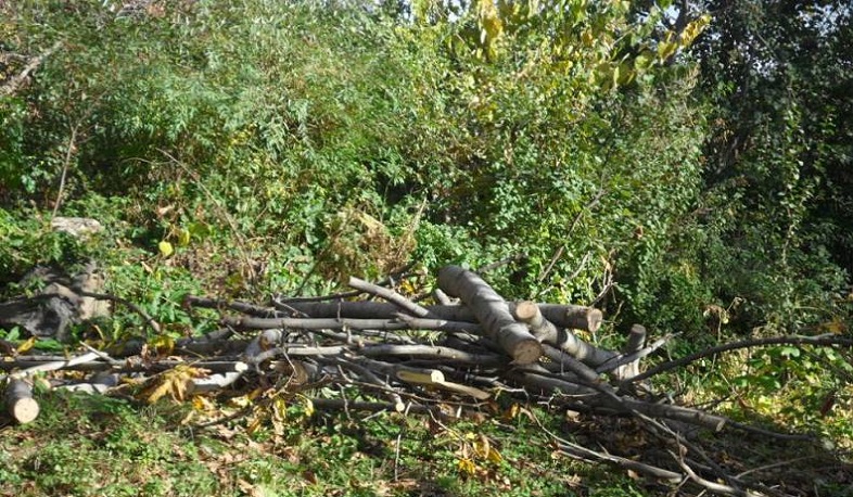 Շրջակա միջավայրին հասցվել է ավելի քան 21 մլն դրամի վնաս