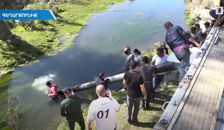 Սևանա լիճ թափվող Կարճաղբյուր և Մասրիկ գետեր է բաց թողնվել շուրջ 280.000 մանրաձուկ