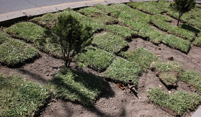 Երևանում մոտ 7000 քմ սիզամարգ կավելանա