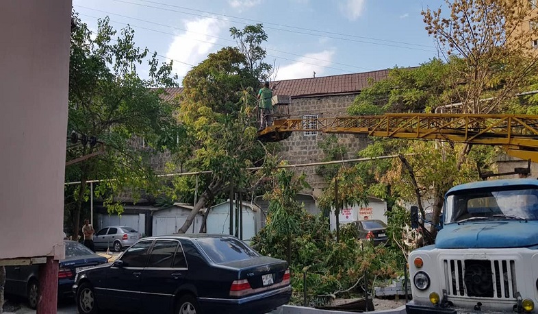 Քամին Երևանի կենտրոնում ծառեր է տապալել