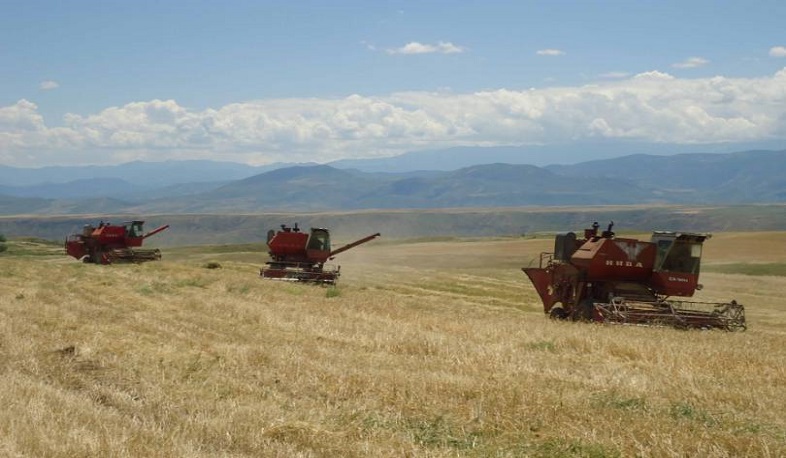 Հայաստանում ավելացել են ցանքատարածությունները