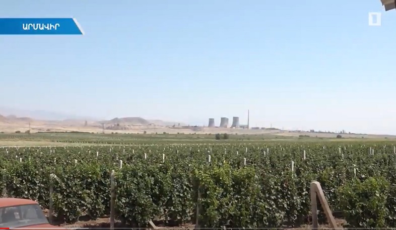 Խաղողագործները դժգոհ են մթերման պայմաններից