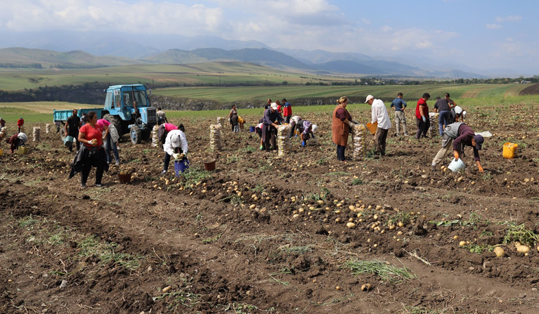 Մարզում գյուղատնտեսության ապագան ապահովագրական համակարգի ներդրումն ու նորարարական մոտեցումներն են. Լոռու փոխմարզպետ