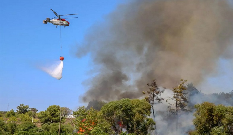 Թուրքիայի 5 նահանգում անտառային հրդեհներ են