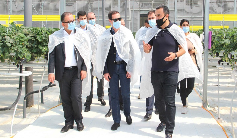 Տիգրան Խաչատրյանը և Աշոտ Բախշիյանն այցելել են ջերմատնային տնտեսություն և «խելացի» անասնաշենք