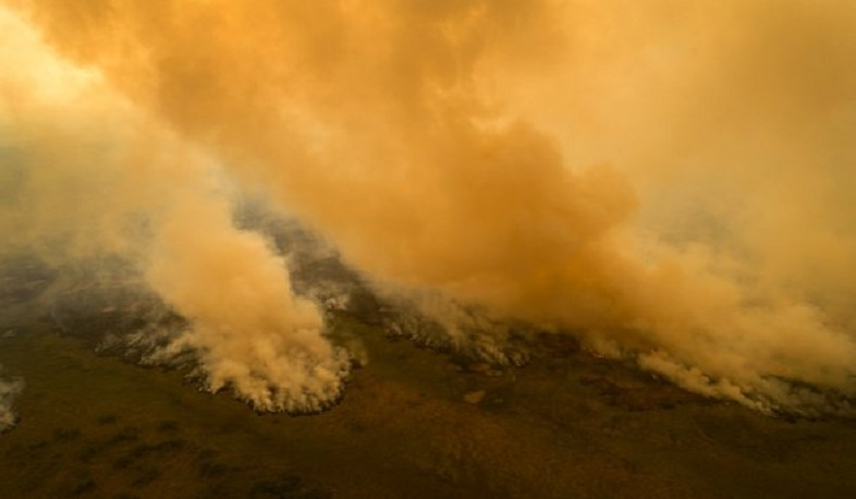 Բրազիլիայում մոլեգնում են անտառային հրդեհները