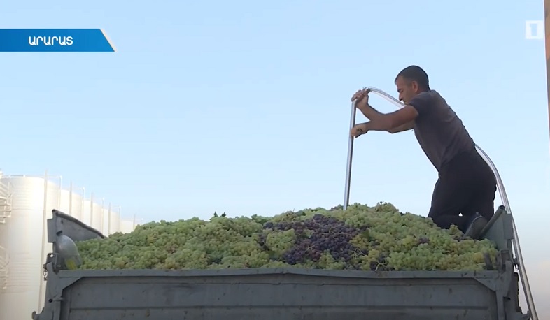 Խաղողագործները հստակություն են պահանջում