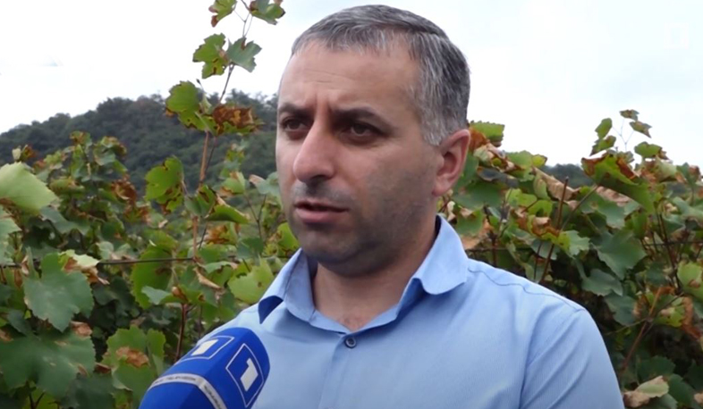 Արցախի կառավարությունն անտոկոս վարկ է տրամադրել մթերողներին