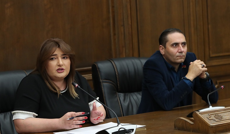 Մարդու անձնագրի պատճենը կարող է լինել ցանկացածի մոտ. Տոնոյանը՝ «Դոսյեի» հոդվածի մասին