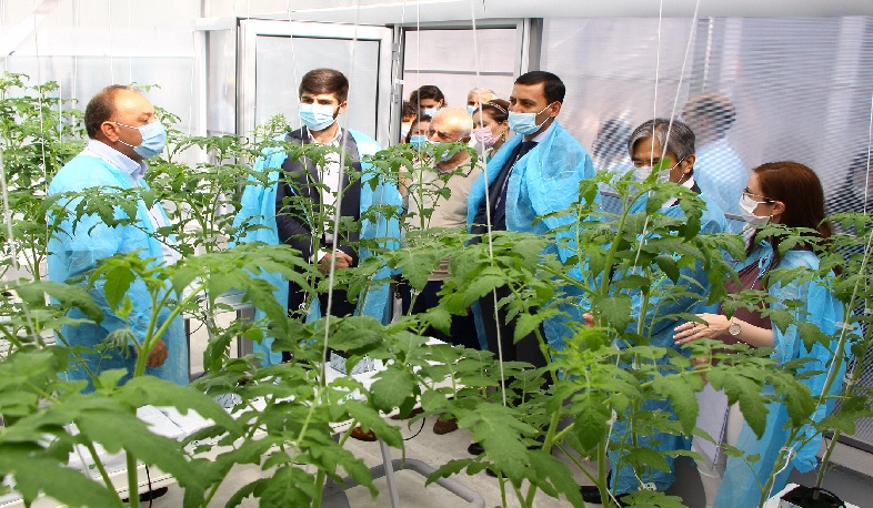 Հայաստանի ազգային ագրարային համալսարանը վերակառուցված նոր ջերմատուն ունի