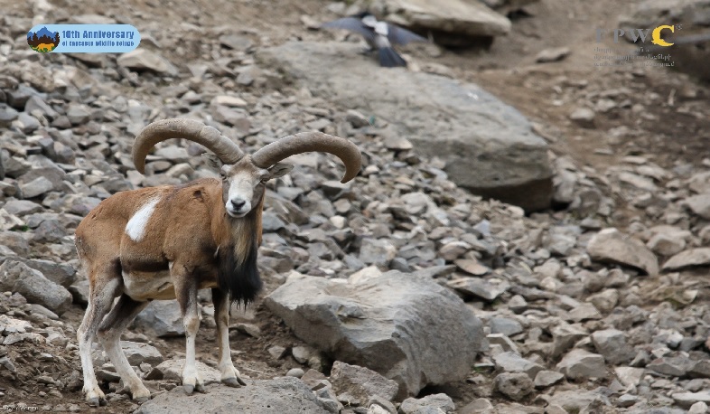 CWR միջազգային գործընկերները տպավորված են Հայաստանի բնաշխարհով