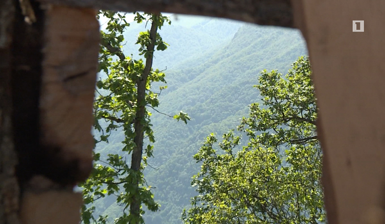 Հայաստանի քաղաքացիական հասարակությունը խստորեն դատապարտում է Ադրբեջանի սանձազերծած ագրեսիան