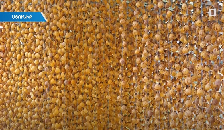 Մեղրիի քաղցրահամ «վարագույրները». եկամուտն առաջնագծի համար է