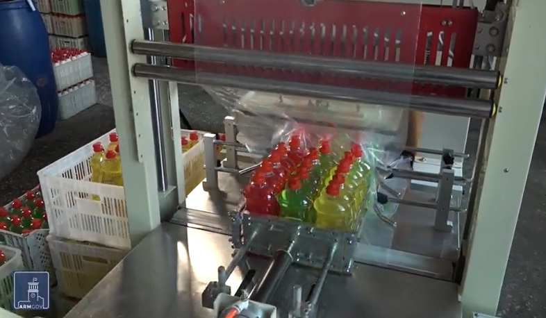 Տնտեսական պարագաներ՝ արտադրված Հայաստանում