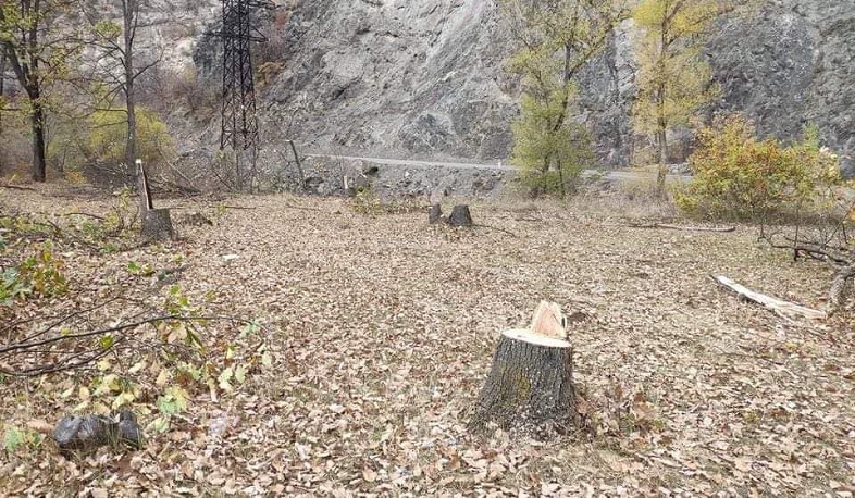 Արցախը մեր հողն է, այդ հողի մեջ մեր զարկերակն է, հորդորում եմ զերծ մնալ անխնա ծառահատումներից. Ռոմանոս Պետրոսյան