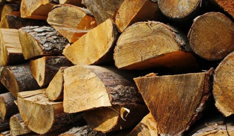 Երևանի քաղաքապետարանը անվճար փայտանյութ կհատկացնի անապահով ընտանիքներին