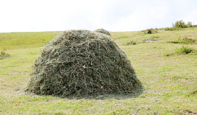 Տուգանք՝ անտառահողերում խոտհարքները և արոտահանդակները վնասելու համար