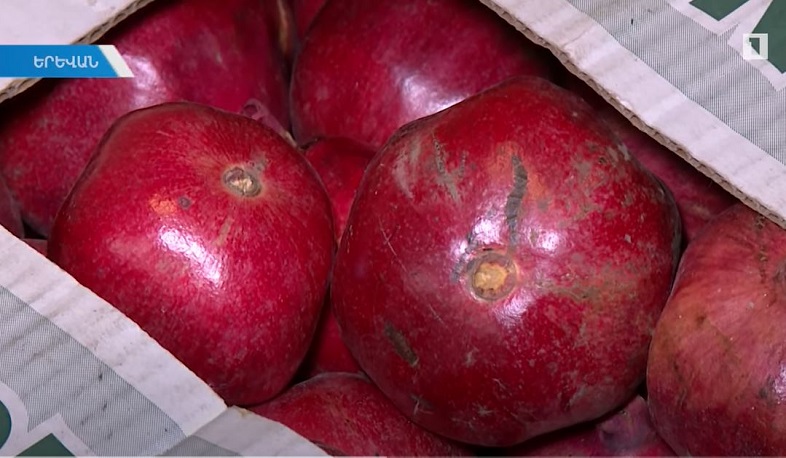 Կամավորներն օգնում են իրացնել զոհված արցախցու աճեցրած բերքը