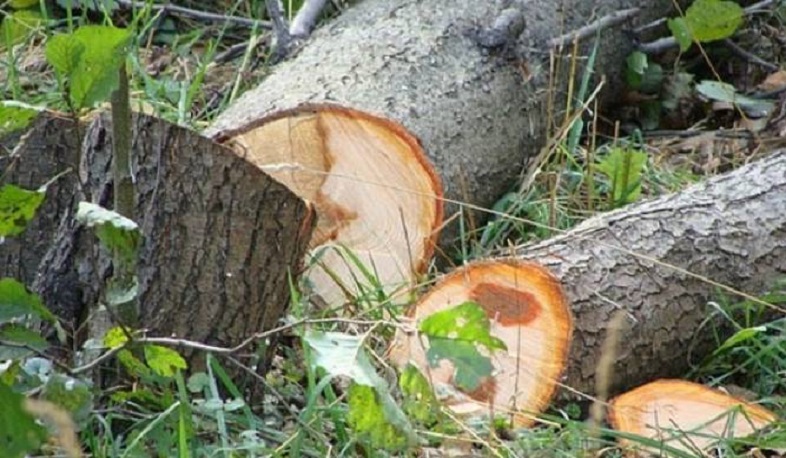 Շրջակա միջավայրին հասցվել է ավելի քան 12 մլն դրամի վնաս