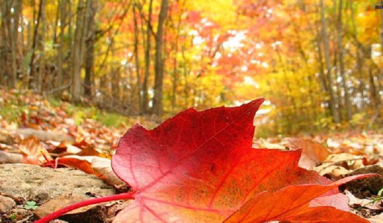 Դեկտեմբերի 4-5-ը՝ առանց տեղումների եղանակ, 6-ին՝ տեղումներ