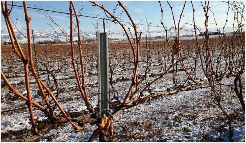 ՀՀ էկոնոմիկայի նախարարությունը հորդորում է սեղմ ժամկետում ավարտել այգեթաղը