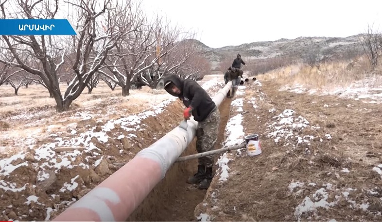 Գյուտարար ֆերմերները