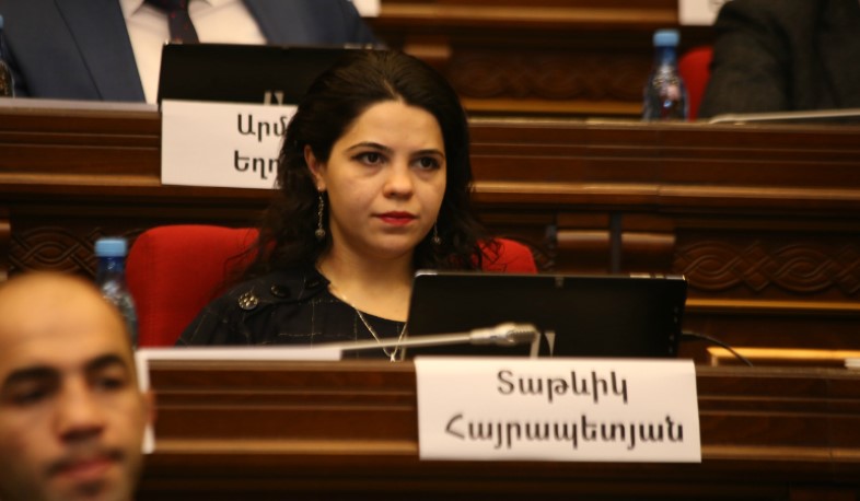 Ստեղծված իրավիճակում յուրաքանչյուրս մեղքի իր բաժինն ունի. Տաթևիկ Հայրապետյան