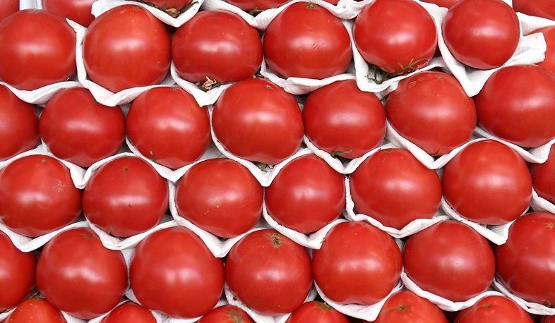 Вступил в силу запрет на импорт томатов и яблок из Азербайджана