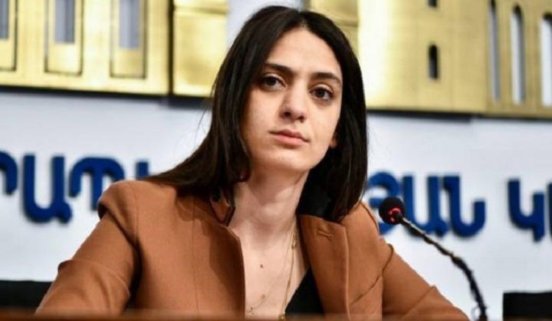 Мане Геворгян прокомментировала заявления Алиева и Эрдогана